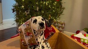 Noël