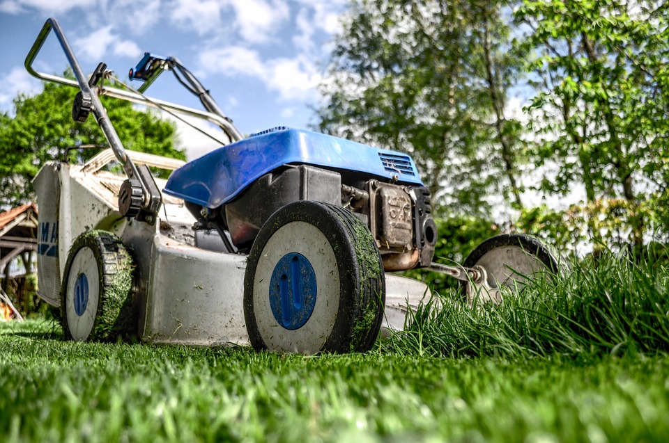 Jardin : tout pour un entretien facile