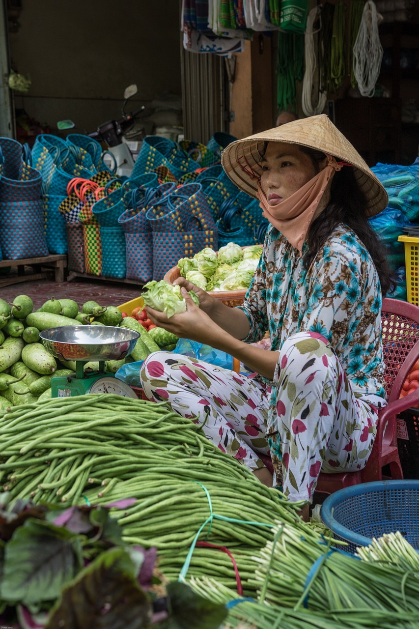 Ce que vous ne devez surtout pas rater au Vietnam !