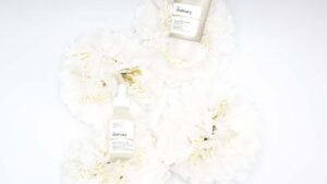 The Ordinary