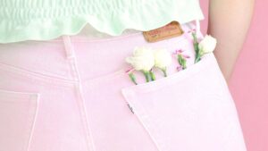 Jean Levis rose